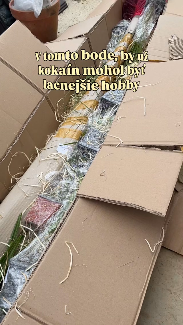 Hovorí sa, že záhradkárčenie je zdravšie ako kokaín a lacnejšie ako terapia. 🌿
O oboch tvrdeniach začínam trochu pochybovať. 😃

A to som si predtým, ako som sa pustila do záhrady, myslela, že raritné izbovky sú drahé hobby. 

#zahrada