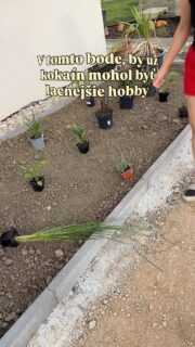 Hovorí sa, že záhradkárčenie je zdravšie ako kokaín a lacnejšie ako terapia. 🌿
O oboch tvrdeniach začínam trochu pochybovať. 😃

A to som si predtým, ako som sa pustila do záhrady, myslela, že raritné izbovky sú drahé hobby. 

#zahrada