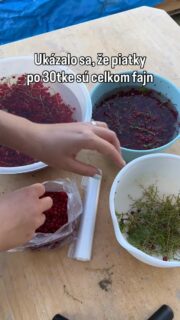 Môže byť, nabudúce lúskame oriešky 🥜

#zahrada