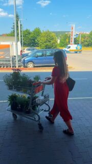 Tieto slová z úst záhradkara nikdy počuť nebudete 😆🪴

#rastliny #greenest #pestovanie #zahrada