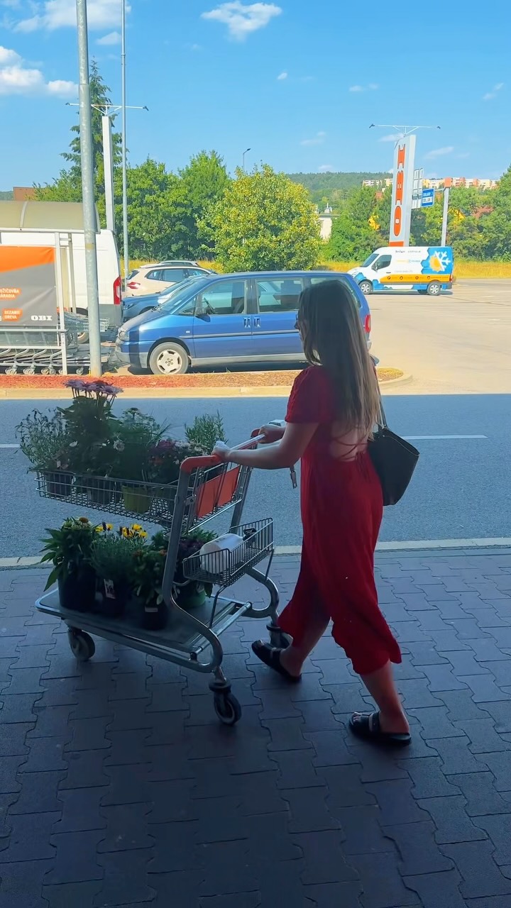 Tieto slová z úst záhradkara nikdy počuť nebudete 😆🪴

#rastliny #greenest #pestovanie #zahrada