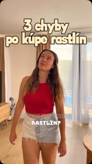 Tri najčastejšie chyby, prečo sa rastline po kúpe a presune domov nedarí. 🪴
Ďalším dôvodom môže byť ak je rastlina napadnutá škodcom, preto je dobré skontrolovať poriadne listy ešte v obchode. 

#kuparastlin #pestovanie