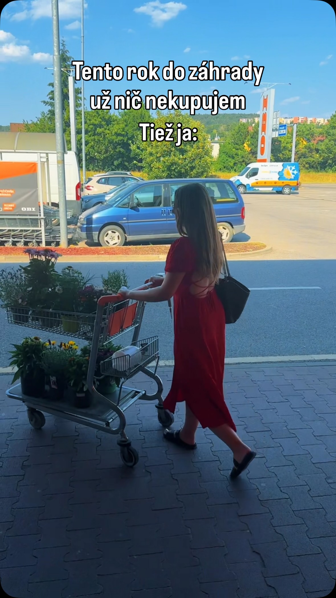Prisahám, že tieto slová z mojich úst nikdy počuť nebudete 😆

#rastliny #greenest #pestovanie #zahrada