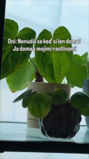 Niekedy si hovorím, že nuda by nebola tak finančne náročná ako mať hobby s rastlinami 🤨😃

#rastliny #pestovanie