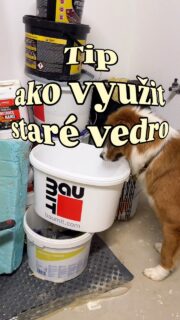 Takto vyzerá môj Re:organizér Baumit vedro v praxi. 🌱

Sadeničky majú svoje miesto a ja mám o jeden dôvod viac odkladať staré vedrá „na potom“. Som zvedavá, ako sa im tu bude dariť. 💚

Ak ta RE:Organizér zaujal, viac o Druhej Zmene vrátane 3D podkladov na stiahnutie nájdeš na 👉 https://baumit.sk/druhazmena

#pestovanie #rastliny #baumit