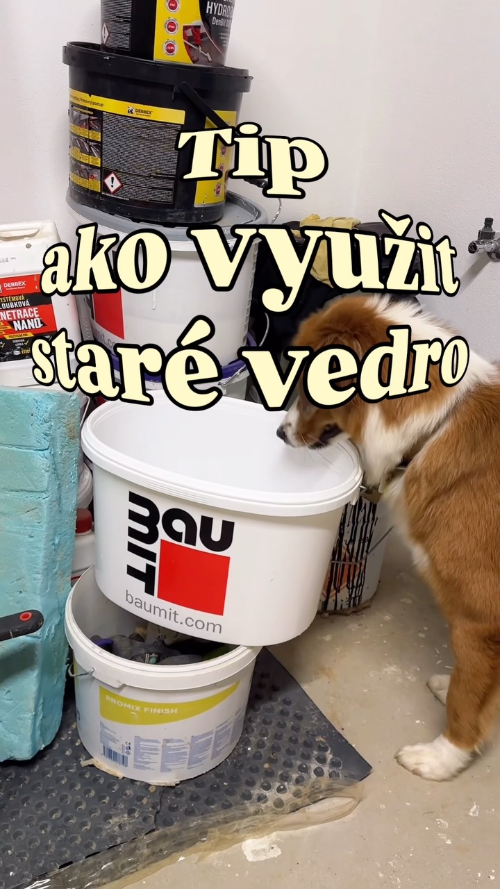 Takto vyzerá môj Re:organizér Baumit vedro v praxi. 🌱

Sadeničky majú svoje miesto a ja mám o jeden dôvod viac odkladať staré vedrá „na potom“. Som zvedavá, ako sa im tu bude dariť. 💚

Ak ta RE:Organizér zaujal, viac o Druhej Zmene vrátane 3D podkladov na stiahnutie nájdeš na 👉 https://baumit.sk/druhazmena

#pestovanie #rastliny #baumit