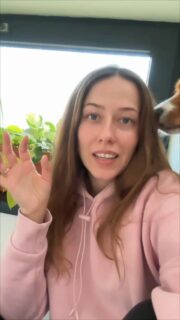 Za mňa najlepšie a najestetickejšie riešenie pri Epipremnume. 🪴 Ako pestuješ potos ty, jednotlivo alebo viac druhov v kvetináči? 👀

#rastliny #pestovanie #potos #epipremnum