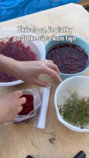 Môže byť, nabudúce lúskame oriešky 🥜

#zahrada
