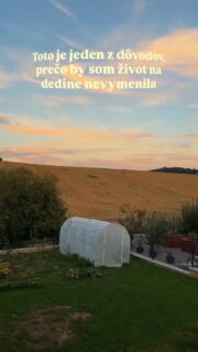 Takýchto susedov máme najradšej. 🦌