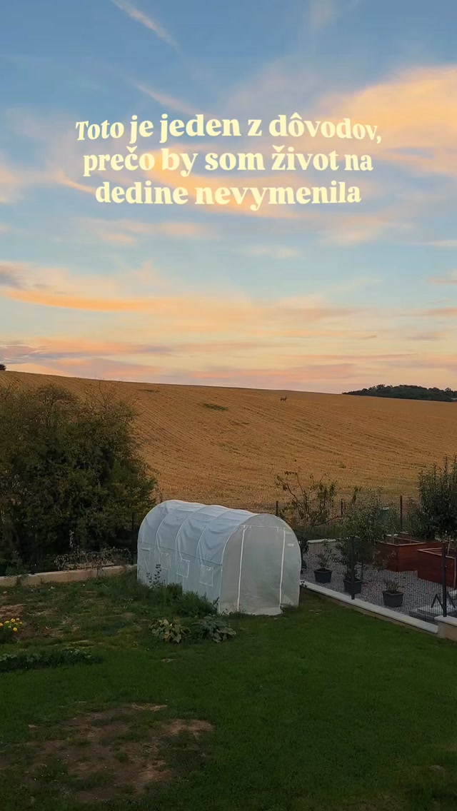 Takýchto susedov máme najradšej. 🦌