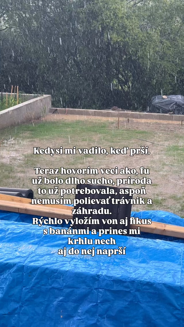 Vytúžený dážď 🌦️

#zahrada