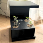 ekoponics hydroponické pestovanie