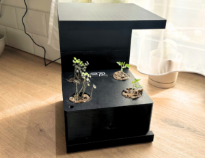 ekoponics hydroponické pestovanie