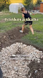 🌿 Ako založiť bylinkovú skalku?

Ak máte v záhrade svah, bylinková skalka je super spôsob, ako ho využiť. Ak svah nemáte, môžete si ho jemne vytvoriť alebo skúsiť bylinkovú špirálu – vďaka výške prirodzene vzniknú suchšie aj vlhkejšie miesta.

Pri sadení platí jednoduché pravidlo: suchomilné bylinky vyššie, tie, ktoré majú rady viac vlahy, nižšie. 🌱

U mňa to išlo približne takto:
☀️ rozmarín → šalvia → tymián → materina dúška → oregano → majorán → pažítka → petržlen → kučeravý petržlen → medovka → ligurček 💧

Mätu som do skalky nesadila – rýchlo sa rozrastá, má veľký koreňový sustém a mohla by postupne vytláčať ostatné bylinky.

Geotextíliu som nepoužila. 🌱 Radšej nechávam pôdu bez bariéry a snažím sa podporovať prirodzený pôdny život. Ale ak nemáte čas bojovať s burinou, pokojne ju použite. Každému vyhovuje niečo iné.

A teraz už len nech to rastie. 

#bylinkovaskalka #zahrada