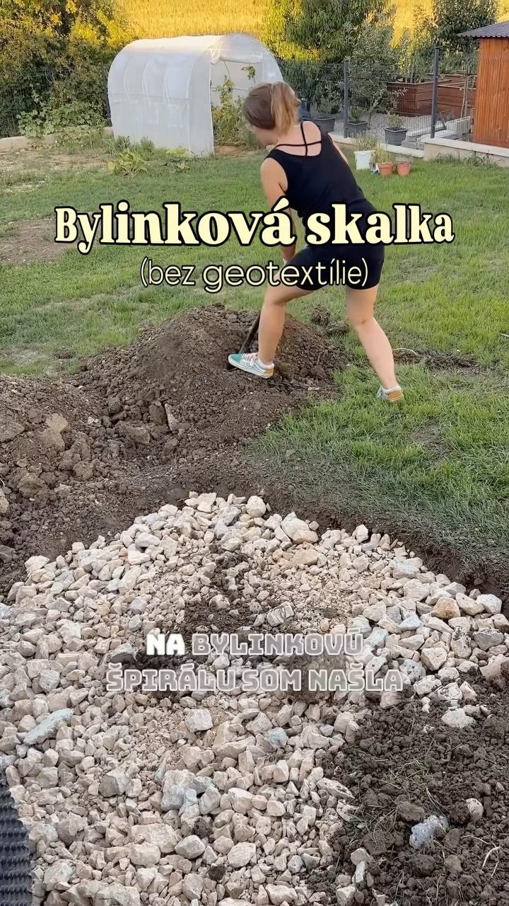 🌿 Ako založiť bylinkovú skalku?

Ak máte v záhrade svah, bylinková skalka je super spôsob, ako ho využiť. Ak svah nemáte, môžete si ho jemne vytvoriť alebo skúsiť bylinkovú špirálu – vďaka výške prirodzene vzniknú suchšie aj vlhkejšie miesta.

Pri sadení platí jednoduché pravidlo: suchomilné bylinky vyššie, tie, ktoré majú rady viac vlahy, nižšie. 🌱

U mňa to išlo približne takto:
☀️ rozmarín → šalvia → tymián → materina dúška → oregano → majorán → pažítka → petržlen → kučeravý petržlen → medovka → ligurček 💧

Mätu som do skalky nesadila – rýchlo sa rozrastá, má veľký koreňový sustém a mohla by postupne vytláčať ostatné bylinky.

Geotextíliu som nepoužila. 🌱 Radšej nechávam pôdu bez bariéry a snažím sa podporovať prirodzený pôdny život. Ale ak nemáte čas bojovať s burinou, pokojne ju použite. Každému vyhovuje niečo iné.

A teraz už len nech to rastie. 

#bylinkovaskalka #zahrada