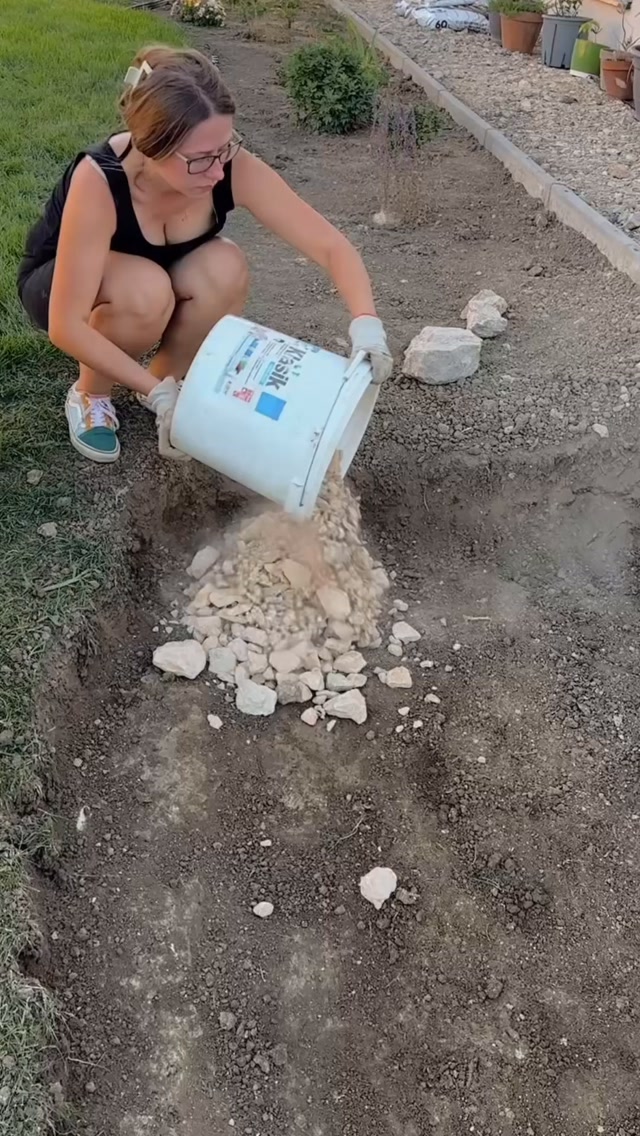🌿 Ako založiť bylinkovú skalku?

Ak máte v záhrade svah, bylinková skalka je super spôsob, ako ho využiť. Ak svah nemáte, môžete si ho jemne vytvoriť alebo skúsiť bylinkovú špirálu – vďaka výške prirodzene vzniknú suchšie aj vlhkejšie miesta.

Pri sadení platí jednoduché pravidlo: suchomilné bylinky vyššie, tie, ktoré majú rady viac vlahy, nižšie. 🌱

U mňa to išlo približne takto:
☀️ rozmarín → šalvia → tymián → materina dúška → oregano → majorán → pažítka → petržlen → kučeravý petržlen → medovka → ligurček 💧

Mätu som do skalky nesadila – rýchlo sa rozrastá, má veľký koreňový sustém a mohla by postupne vytláčať ostatné bylinky.

Geotextíliu som nepoužila. 🌱 Radšej nechávam pôdu bez bariéry a snažím sa podporovať prirodzený pôdny život. Ale ak nemáte čas bojovať s burinou, pokojne ju použite. Každému vyhovuje niečo iné.

A teraz už len nech to rastie. 

#bylinkovaskalka #zahrada
